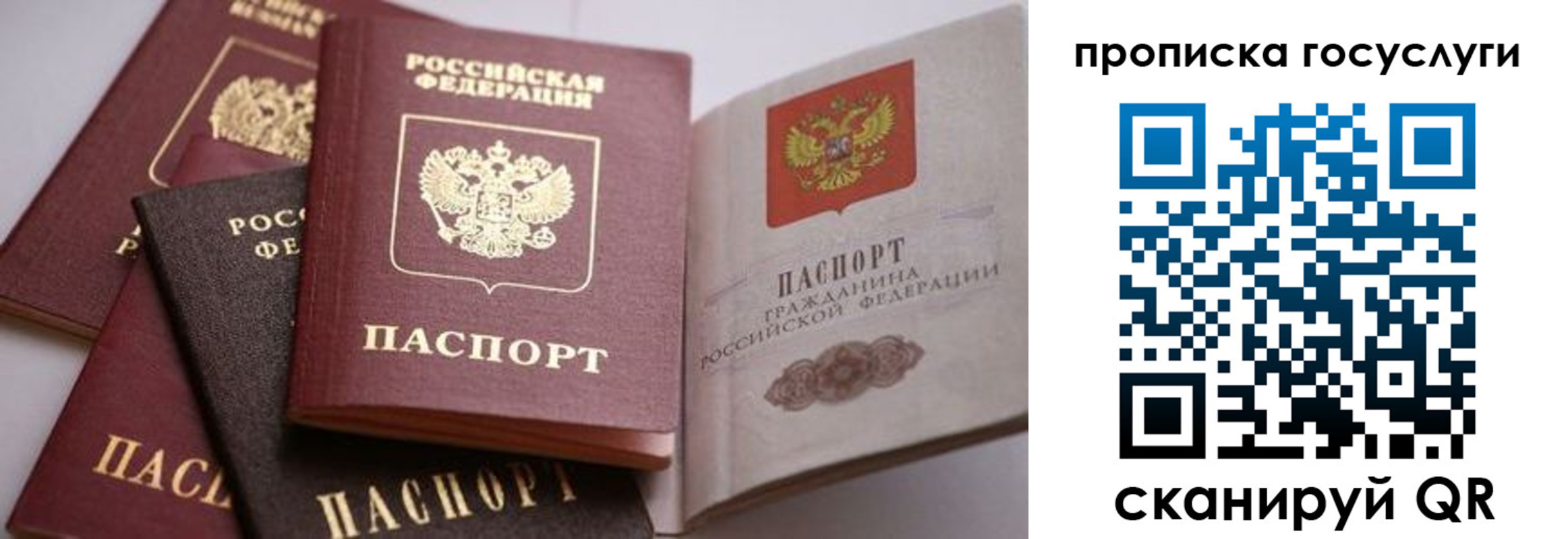 прописка иностранных граждан в Малой Вишере